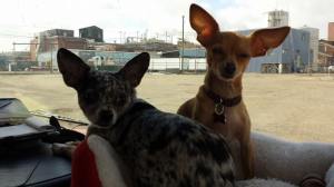 1920386_10152226658857278_2042534262_n