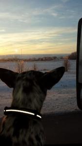 1920414_10152240406607278_1099279821_n