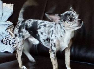 1939441_10152218359502278_898163973_n