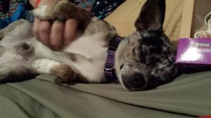 1958544_10152218366517278_1368141348_n